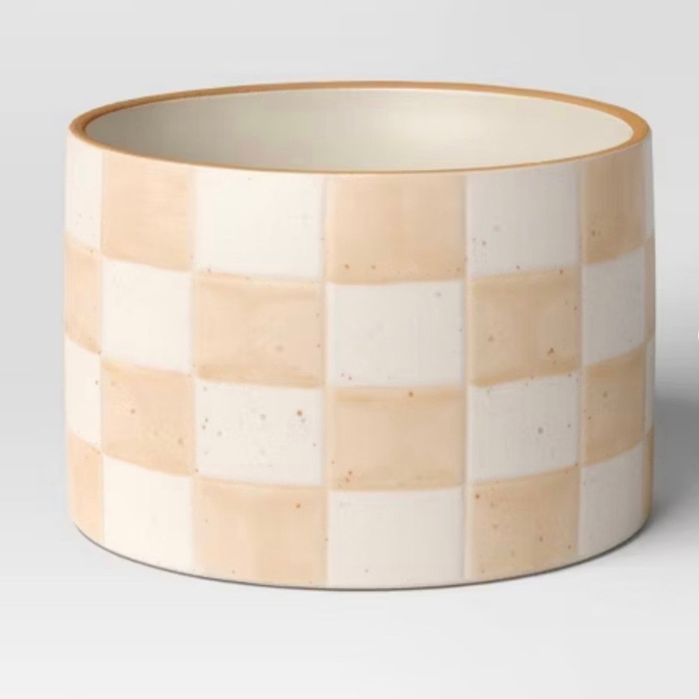 Threshold Checker Stoneware Indoor Outdoor Planter Pot 5.88” Ivory